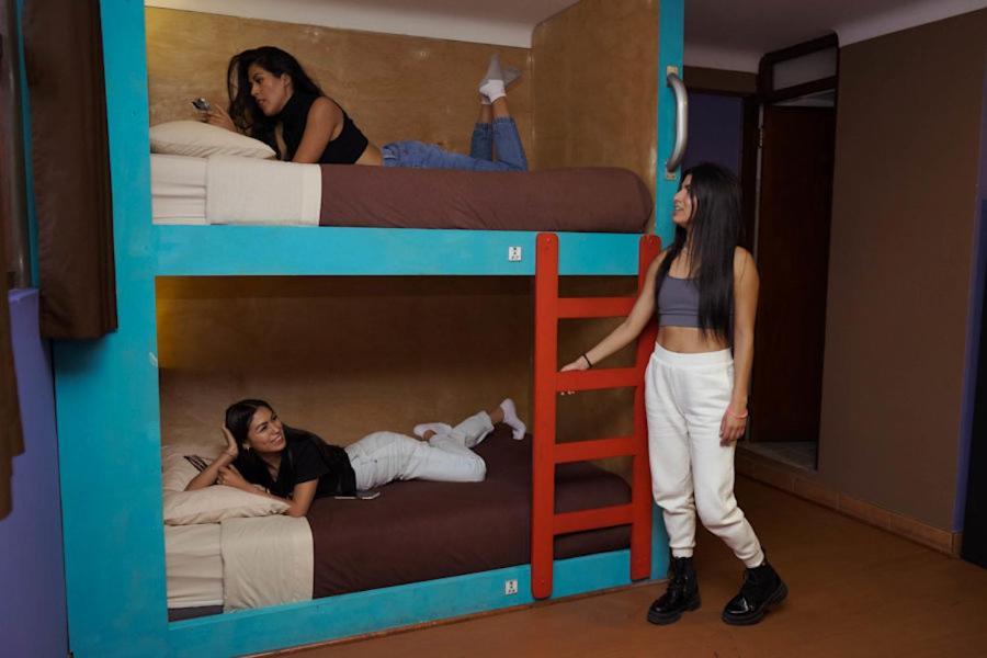 Wild Rover Hostal