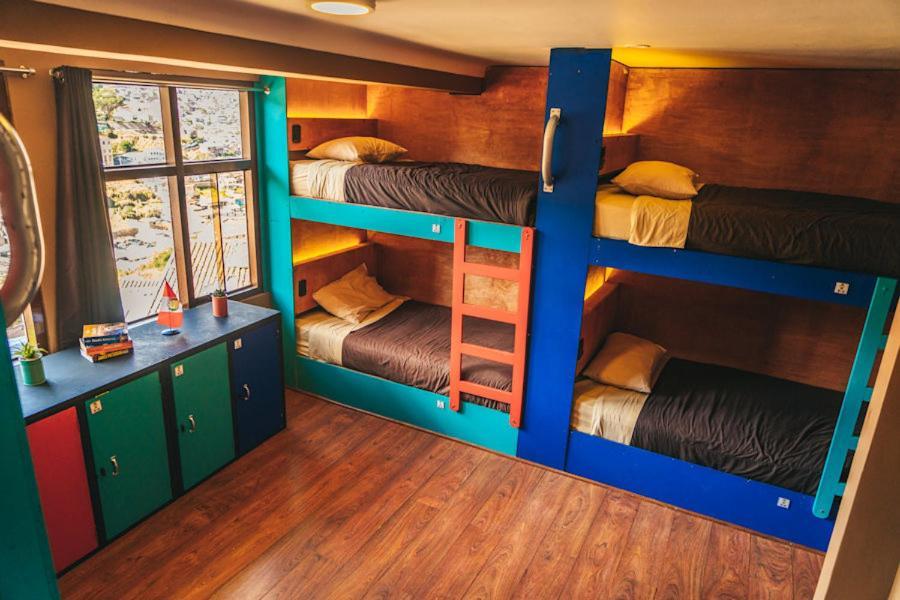 Wild Rover Hostal